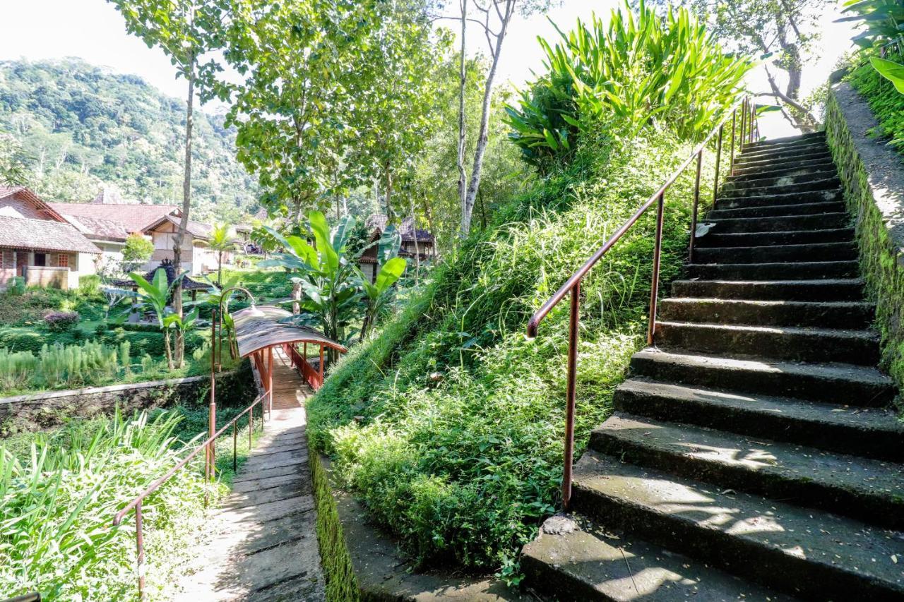 Hotel Balkondes Kenalan Magelang Exteriér fotografie